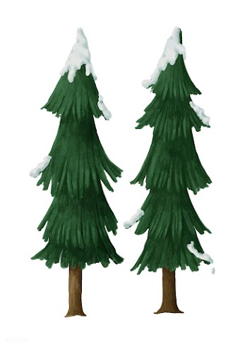 Hand-drawn snowcapped pine trees | Free stock vector - 543817