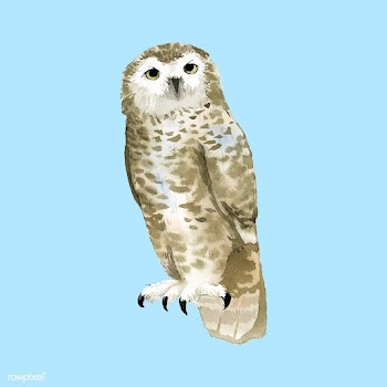 Hand-drawn snowy owl watercolor style vector | Free stock vector - 489462