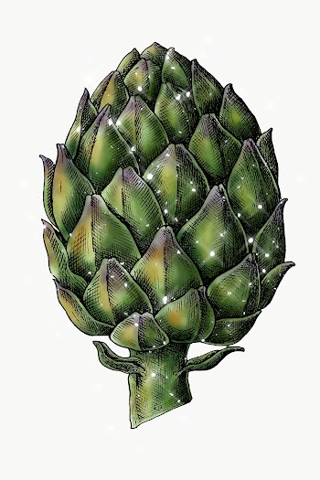 Hand drawn sparkling artichoke design element | Free  transparent png - 2351120