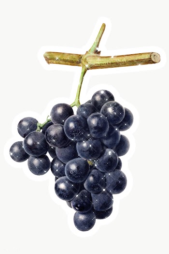 Hand drawn sparkling black grapes fruit sticker with white border | Free  transparent png - 2351148