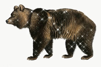 Hand drawn sparkling brown bear design element | Free  transparent png - 2354792