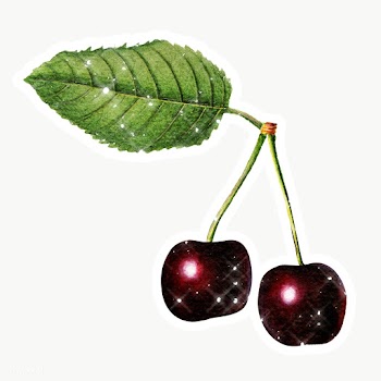Hand drawn sparkling cherry fruit sticker with white border | Free  transparent png - 2351146