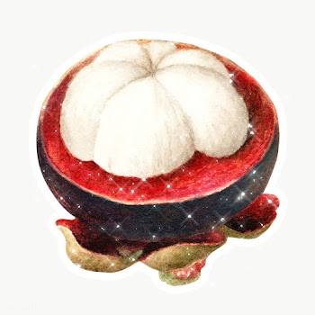 Hand drawn sparkling mangosteen fruit sticker with white border | Free  transparent png - 2351151