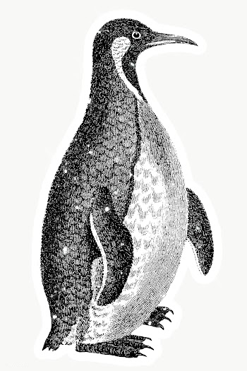 Hand drawn sparkling Patagonian penguin sticker with white border | Free  transparent png - 2354838
