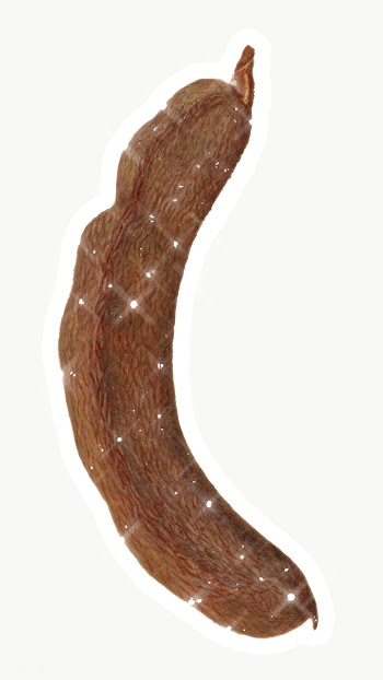 Hand drawn sparkling tamarine fruit sticker with white border | Free  transparent png - 2351156