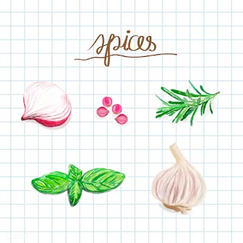 Hand drawn spice watercolor style | Free stock vector - 393336