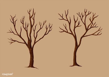 Hand drawn spooky trees in the autumn | Free stock vector - 469052