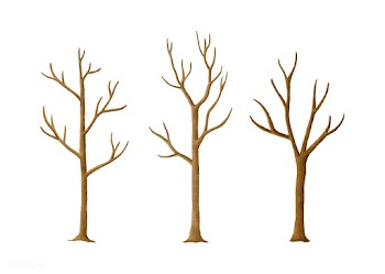 Hand drawn spooky trees in the autumn | Free stock vector - 469070