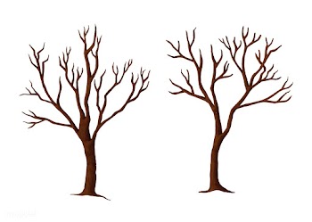 Hand drawn spooky trees in the autumn | Free stock vector - 469111
