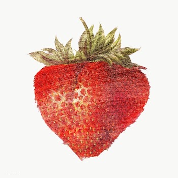 Hand drawn strawberry brush stroke style design element | Free  transparent png - 2342878