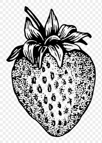 Hand drawn strawberry clipart, transparent | Free PNG Illustration - rawpixel
