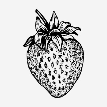 Hand drawn strawberry, vintage illustration. | Free Photo Illustration - rawpixel