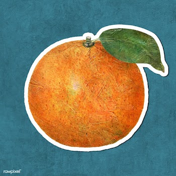 Hand drawn tangerine fruit sticker with white border | Free  illustration - 2352929