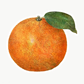 Hand drawn tangerine fruit sticker with white border | Free  transparent png - 2352965