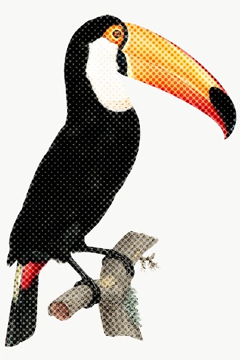Hand drawn toucan bird halftone style sticker overlay | Free  transparent png - 2346496