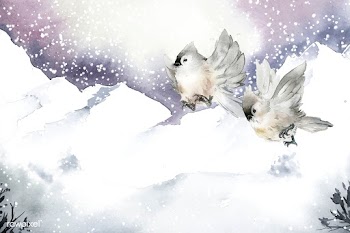 Hand drawn tufted titmouse birds in wintertim.. | Free stock vector - 489513