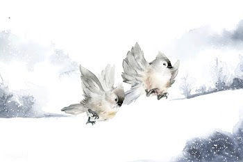 Hand drawn tufted titmouse birds in wintertim.. | Free stock vector - 489576