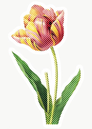 Hand drawn tulip flower halftone style sticker overlay with a white bo.. | Free  transparent png - 2346483