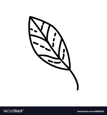 hand drawn twigs with leaves in the doodle style