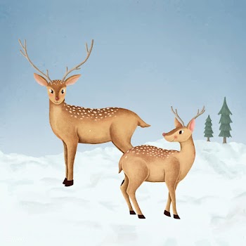 Hand-drawn two cute fallow deer | Free stock vector - 543896