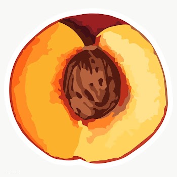 Hand drawn vectorized apricot sticker with white border design element | Free  transparent png - 2361588