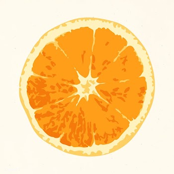 Hand drawn vectorized half of tangerine orange sticker design resource | Free  vector - 2361305
