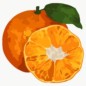 Hand drawn vectorized tangerine orange sticker design element | Free  transparent png - 2361576