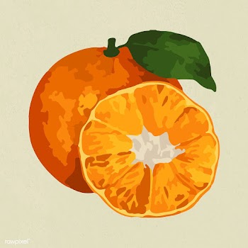 Hand drawn vectorized tangerine orange sticker design resource | Free  vector - 2361286