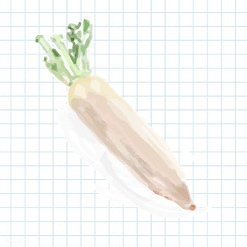 Hand drawn vegetable watercolor style | Free stock vector - 393148