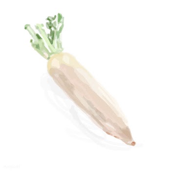Hand drawn vegetable watercolor style | Free stock vector - 393157