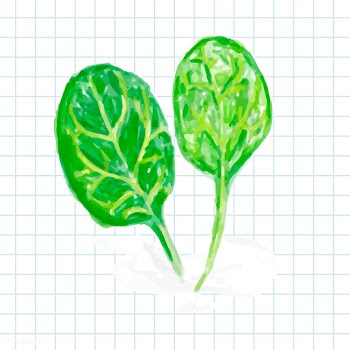 Hand drawn vegetable watercolor style | Free stock vector - 393159