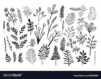 hand drawn vintage floral elements flowers