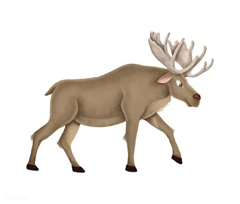 Hand-drawn walking cute moose | Free stock vector - 543831