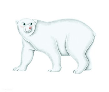 Hand-drawn walking white polar bear | Free stock vector - 543861
