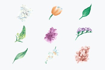 Hand drawn watercolor flower illustrations set