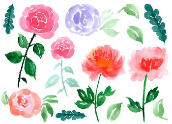 Hand drawn watercolor roses and leaves isolated on a white Free Vector