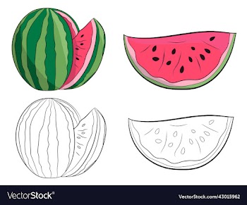 hand drawn watermelon set