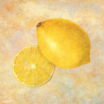 Hand drawn yellow lemon illustration | Free  illustration - 2347021