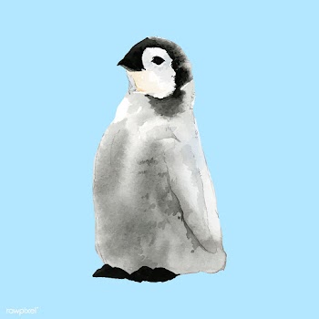 Hand-drawn young emperor penguin watercolor s.. | Free stock vector - 489248