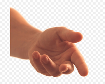 Hand Finger Foot Wrist - hand png download - 728*711 - Free ...