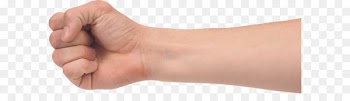 Hand Forearm Clip art - Hands PNG, hand image free 