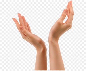 Hand Forearm - Hands Png 8 