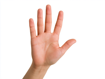 Hand Gesture Indicating Number Four