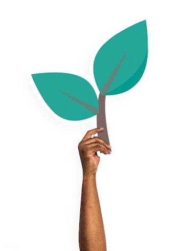 Hand holding a growing plant cardboard prop | Free stock psd mockup - 526099