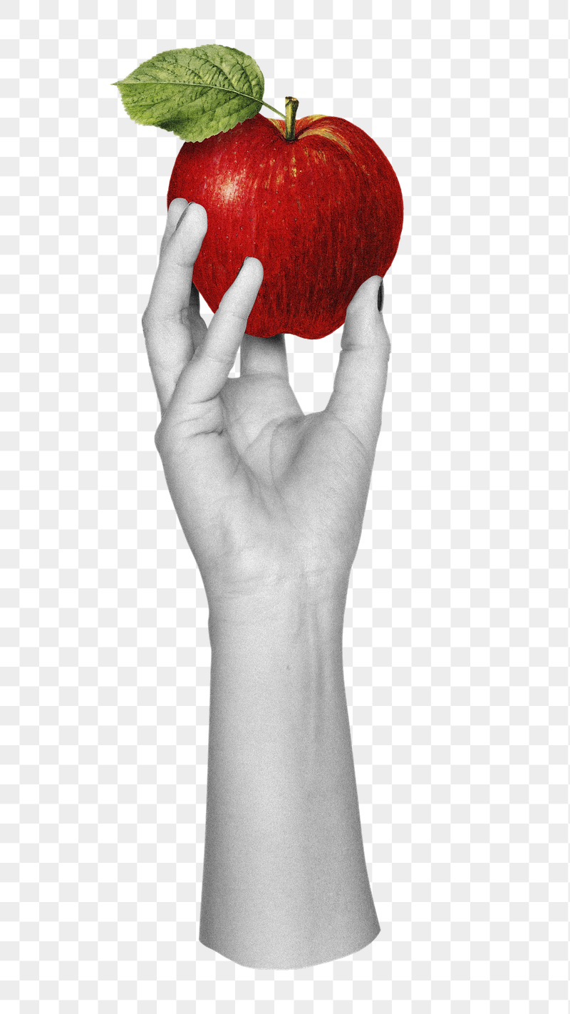 Hand holding apple png sticker, | Free PNG - rawpixel