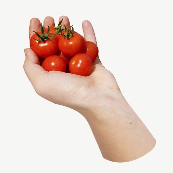 Hand holding cherry tomatoes collage | Free PSD - rawpixel