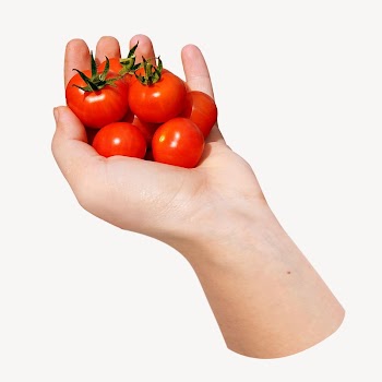 Hand holding cherry tomatoes  | Free Photo - rawpixel