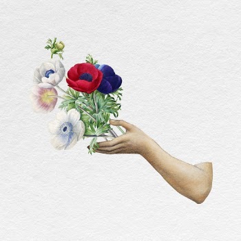 Hand holding flower bouquet, vintage | Free Photo - rawpixel
