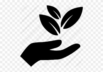 Hand Holding Leaves - Nature Icon Png