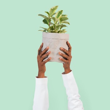Hand holding plant save the environment… | Free stock photo | High Resolution image